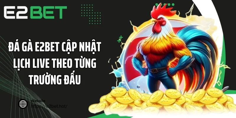 Đá gà E2BET cập nhật lịch live theo từng trường đấu