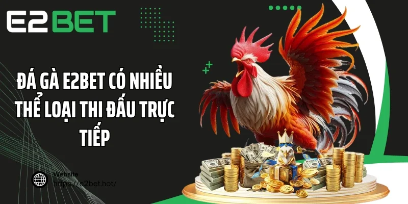 Đá gà E2BET có nhiều thể loại thi đấu trực tiếp