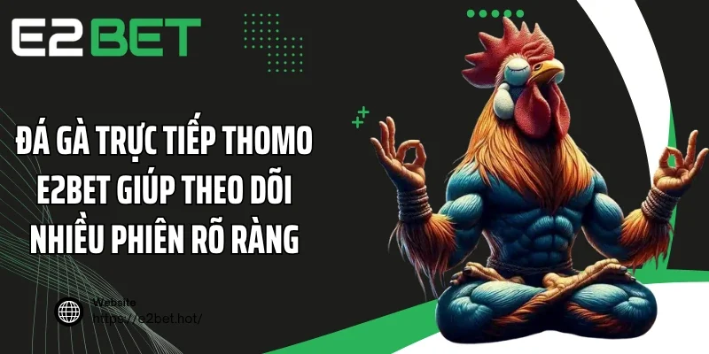 Đá gà trực tiếp Thomo E2BET giúp theo dõi nhiều phiên rõ ràng