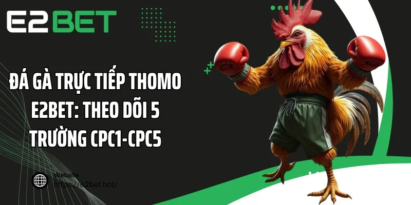 Đá Gà Trực Tiếp Thomo E2BET: Theo Dõi 5 Trường CPC1-CPC5