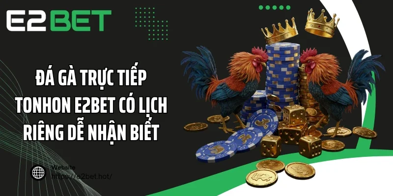 Đá gà trực tiếp Tonhon E2BET có lịch riêng dễ nhận biết