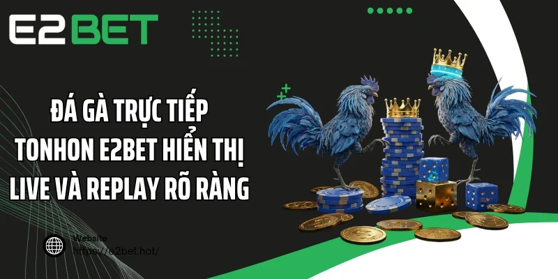 Đá gà trực tiếp Tonhon E2BET hiển thị Live và Replay rõ ràng