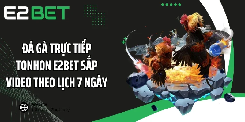 Đá gà trực tiếp Tonhon E2BET sắp video theo lịch 7 ngày